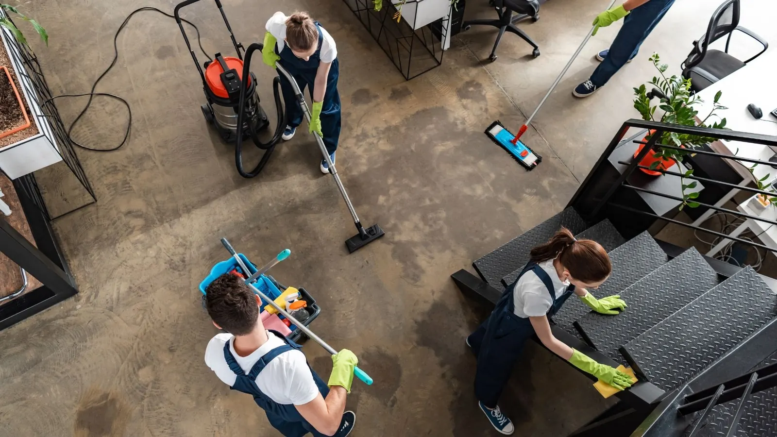 Bright kitchen cleaning
